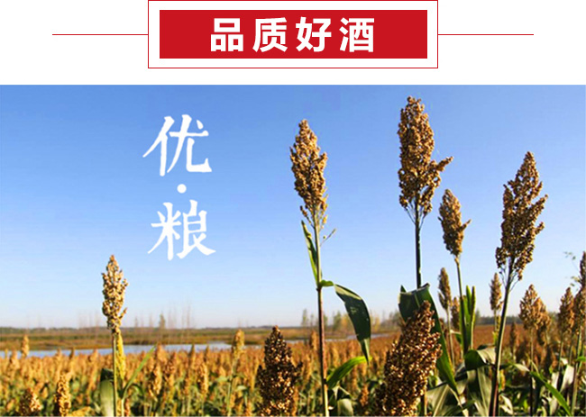 蕎韻黑苦蕎酒