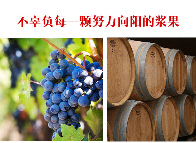 茅臺卡佩王西拉干紅葡萄酒